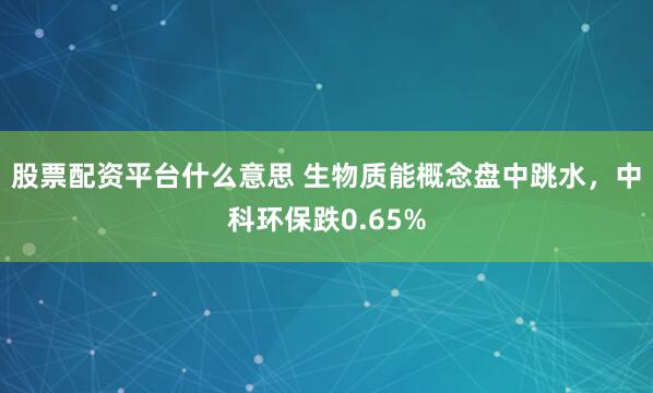 股票配资平台什么意思 生物质能概念盘中跳水，中科环保跌0.65%