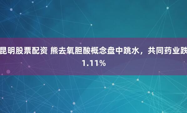 昆明股票配资 熊去氧胆酸概念盘中跳水，共同药业跌1.11%