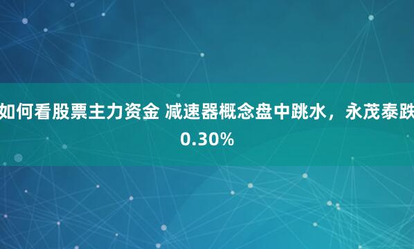 如何看股票主力资金 减速器概念盘中跳水，永茂泰跌0.30%
