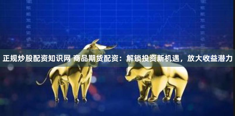 正规炒股配资知识网 商品期货配资：解锁投资新机遇，放大收益潜力